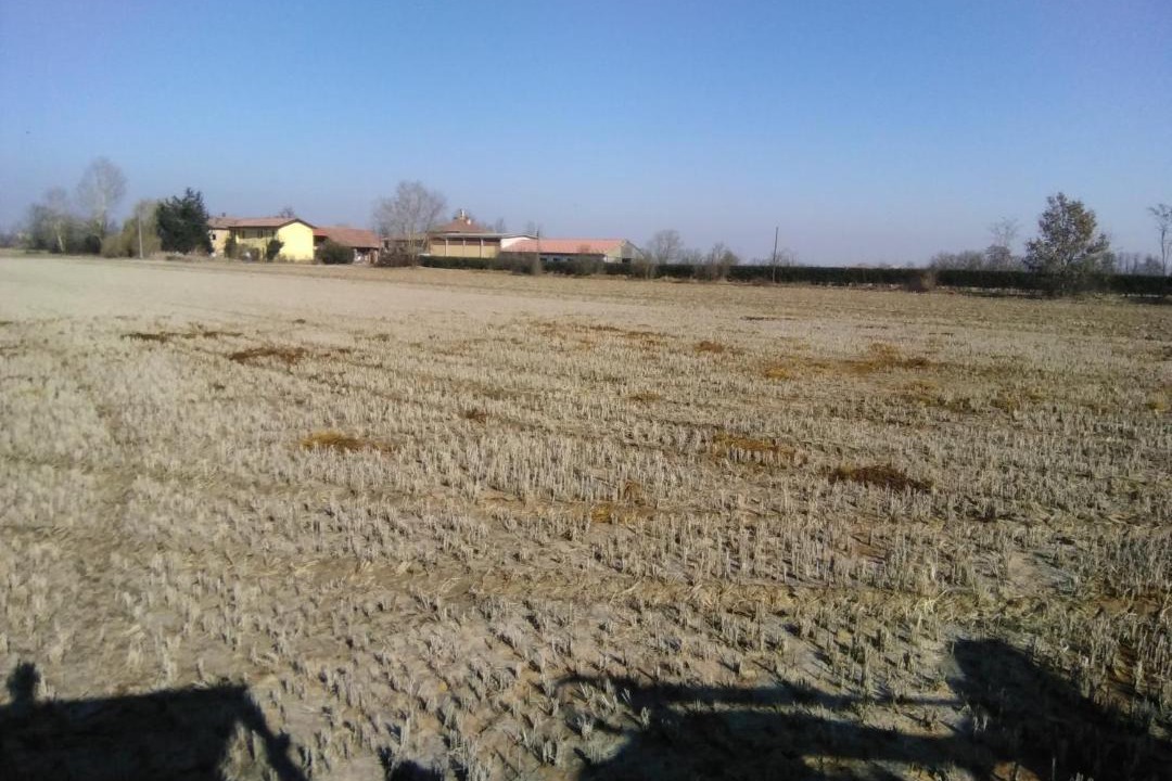 Photo of Others in Rosate