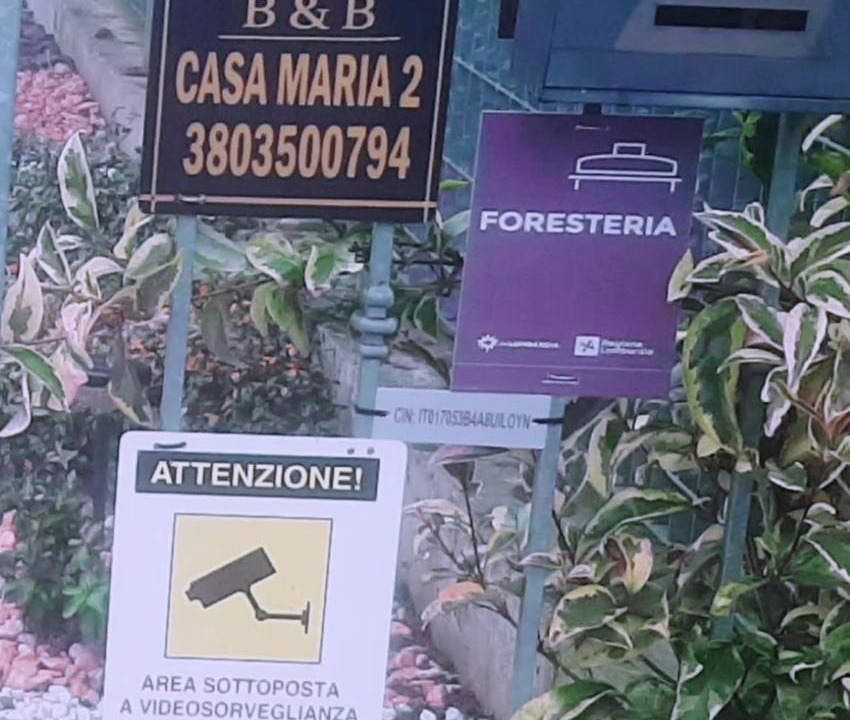 Photo of Others in Cigole