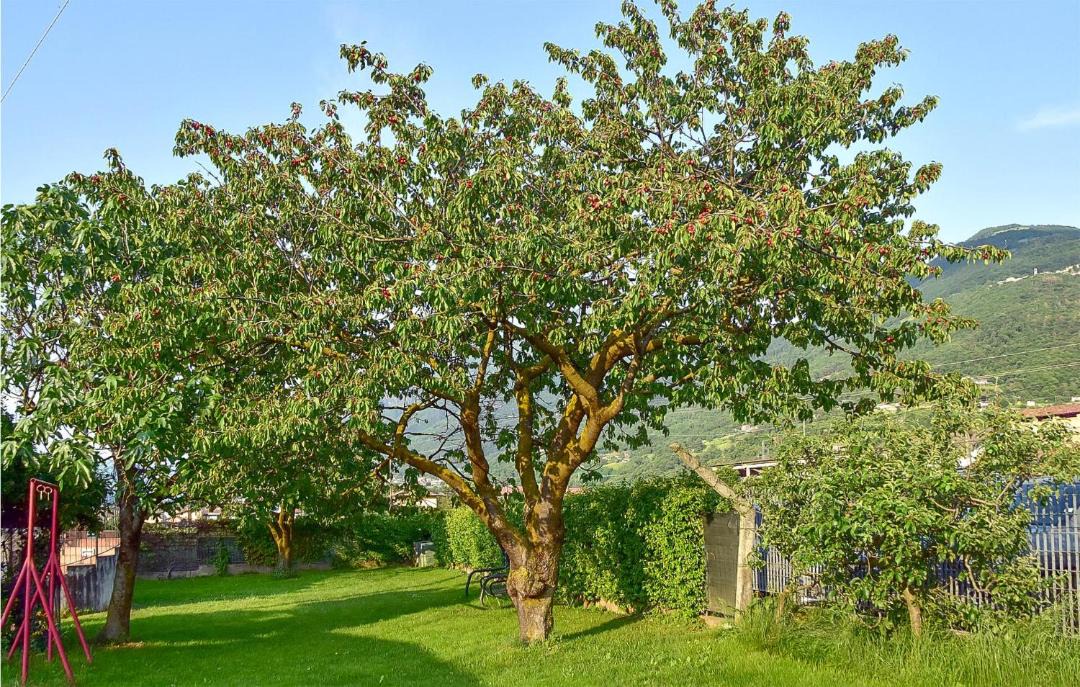 Photo of Outdoor in Artogne