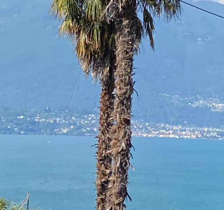Photo of Others in Pino Lago Maggiore