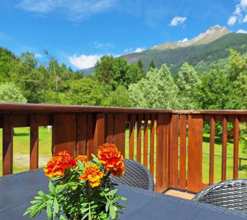 Photo of Patio Balcony in Temu