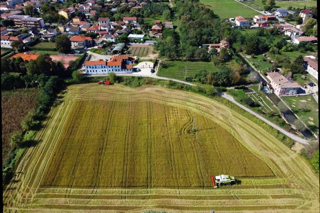 Photo of Others in Vigevano