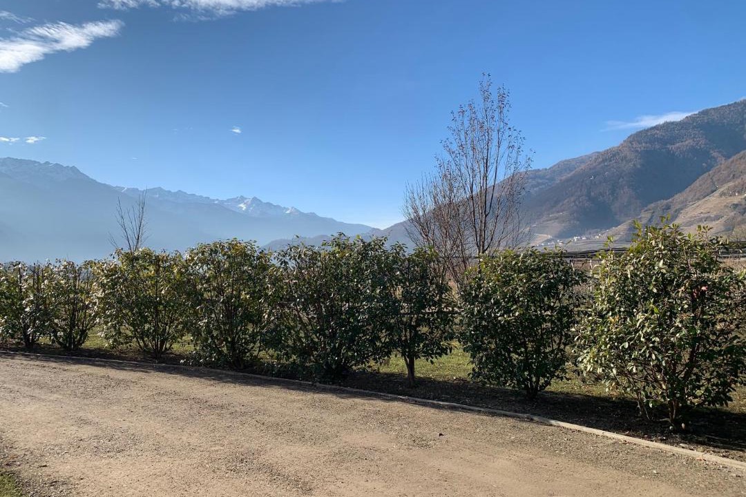 Photo of Others in Villa di Tirano