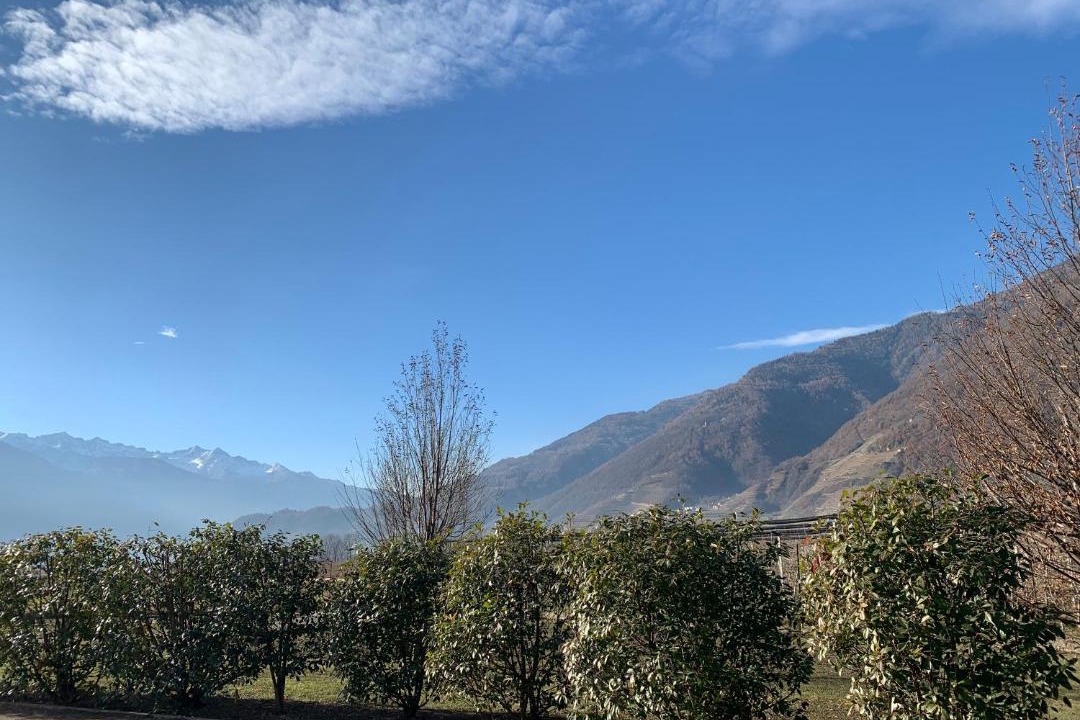 Photo of Others in Villa di Tirano