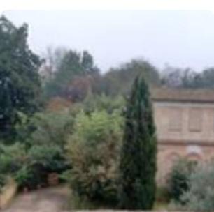 Photo of Others in Certosa di Pavia
