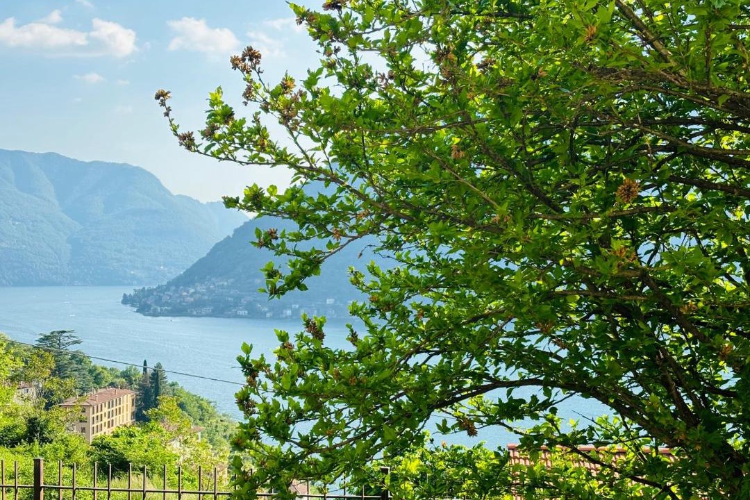 Photo of Others in Nesso