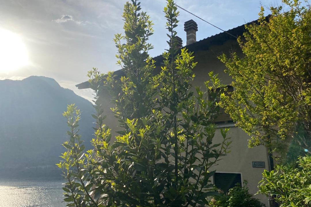 Photo of Others in Nesso