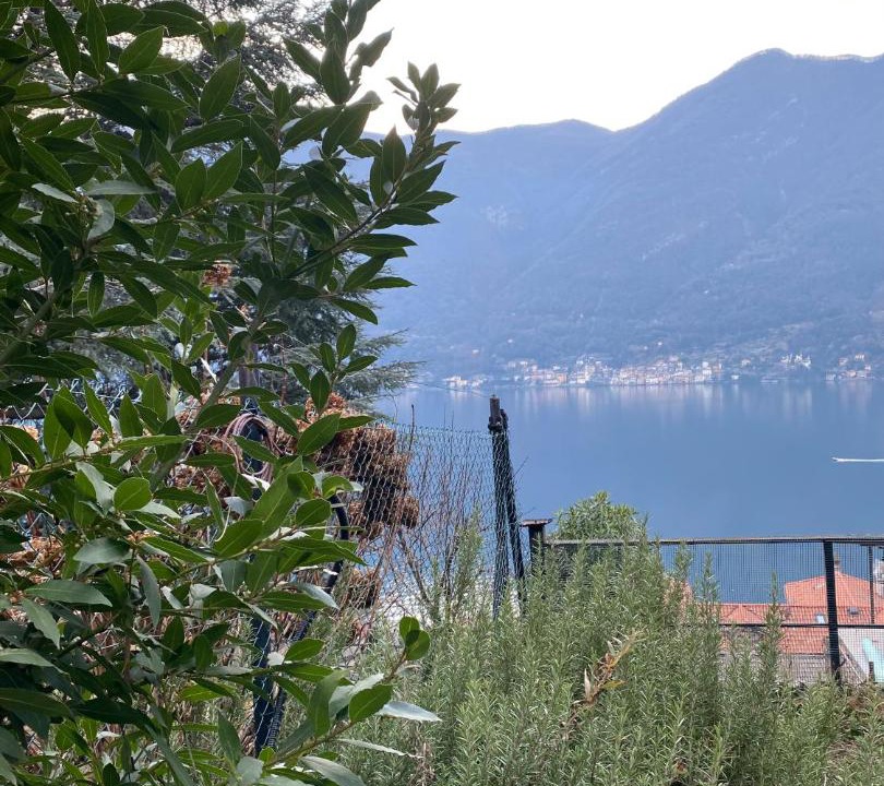 Photo of Others in Nesso