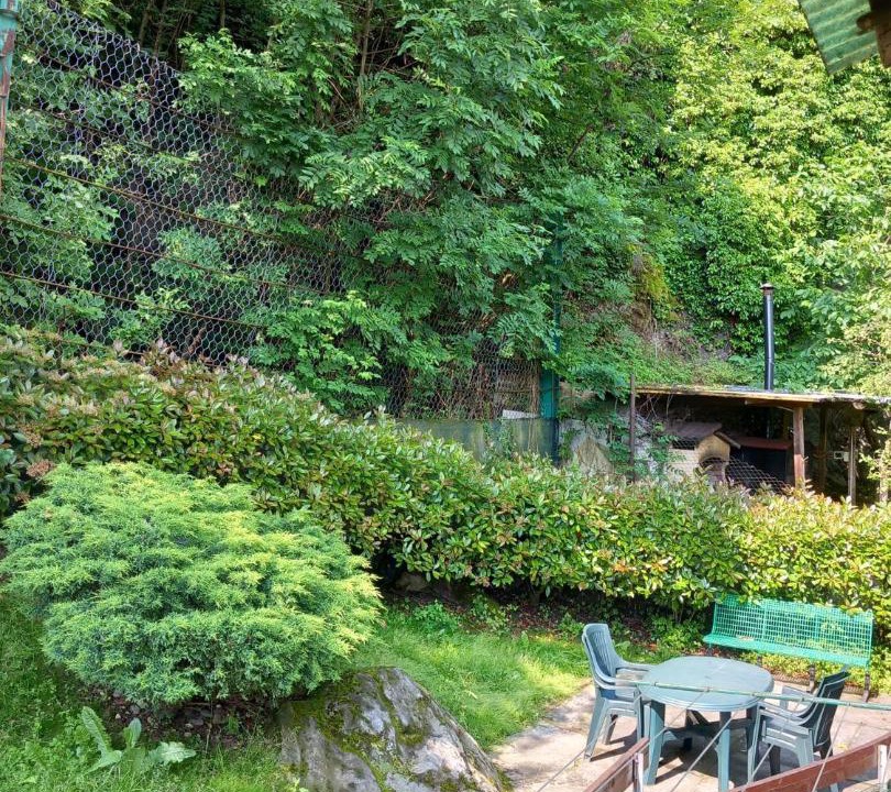 Photo of Others in Province of Sondrio