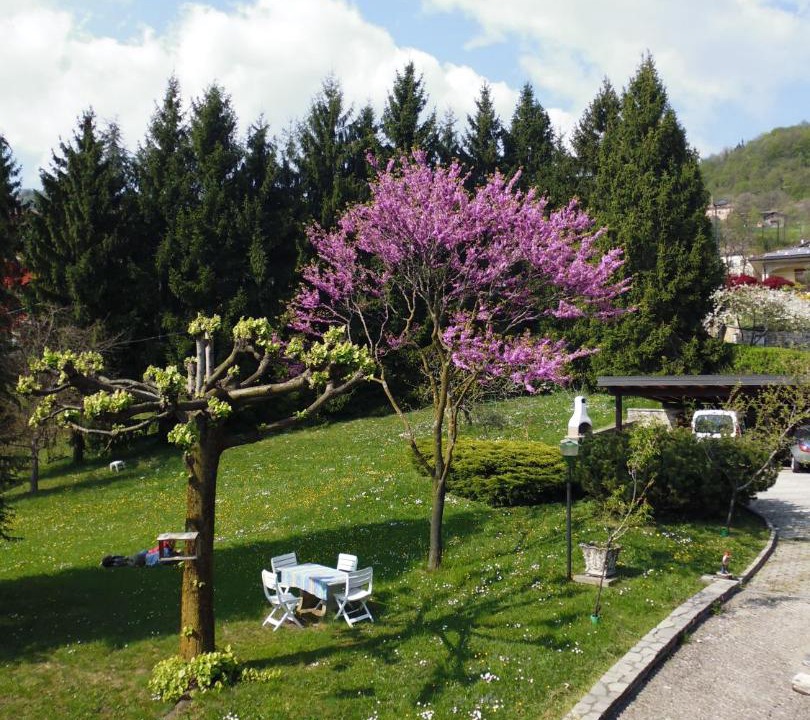 Photo of Outdoor in Berbenno