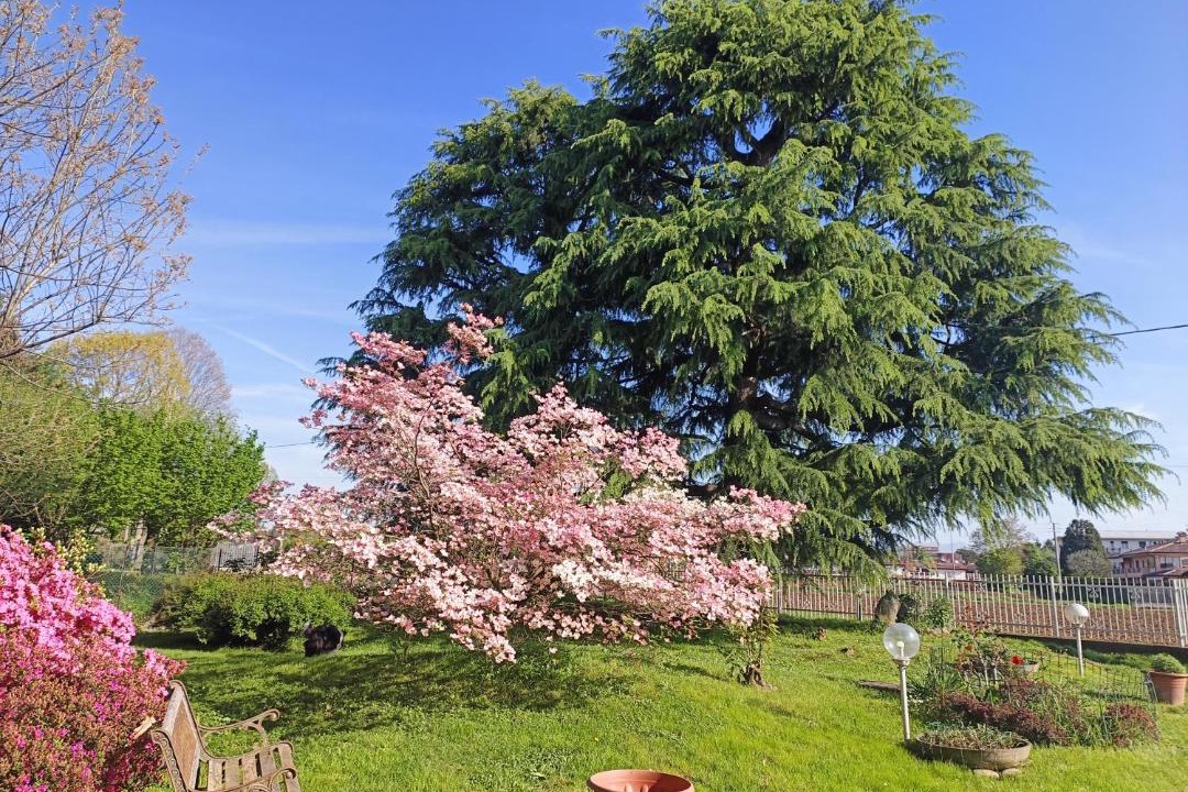 Photo of Outdoor in Cadorago