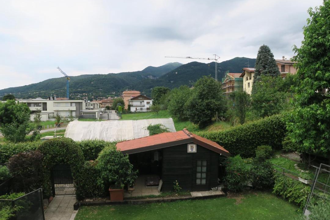 Photo of Others in Erba