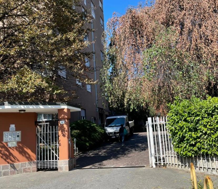 Photo of Others in Gallarate