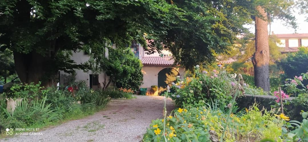 Photo of Others in Brenta