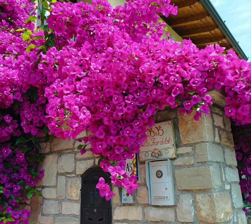 Photo of Others in Limone sul Garda