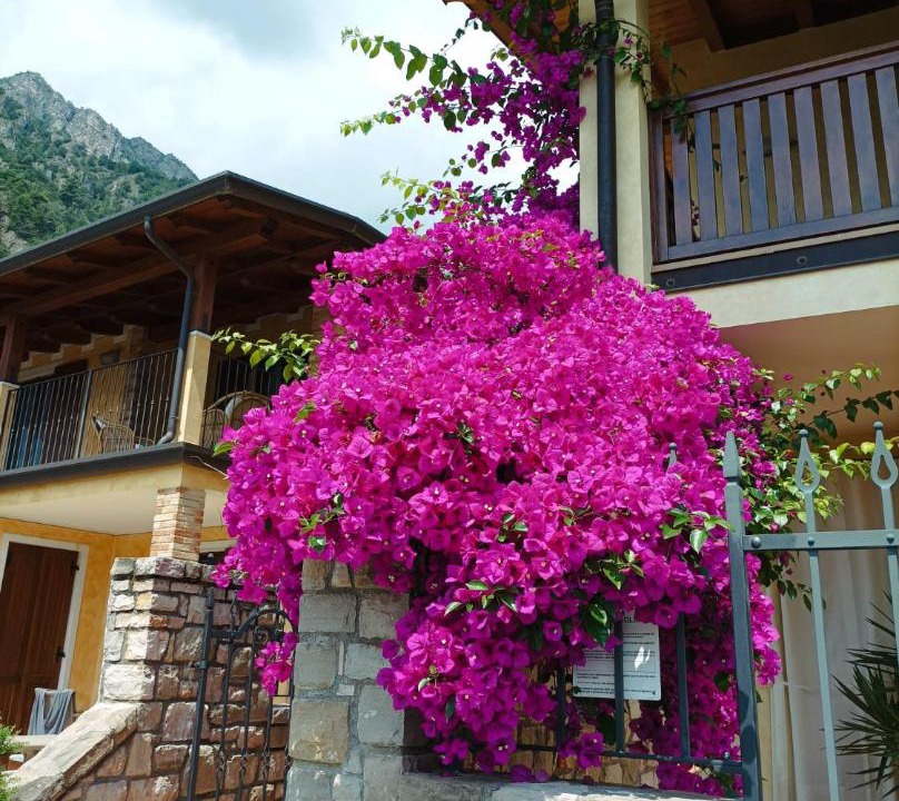 Photo of Buildings in Limone sul Garda