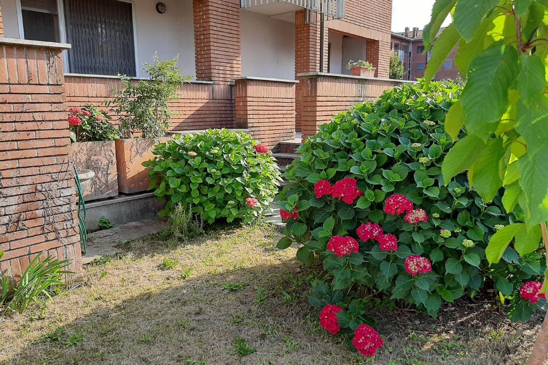 Photo of Others in Peschiera Borromeo