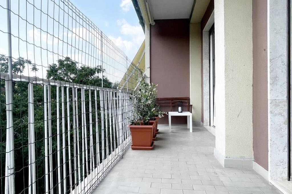 Photo of Patio Balcony in Tricolore