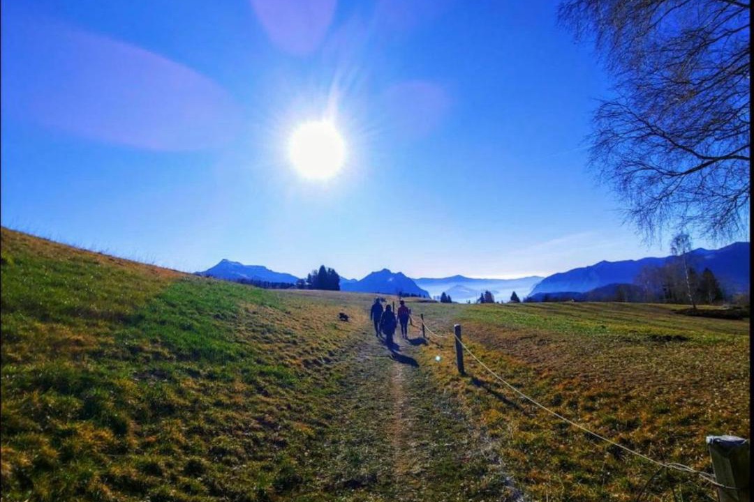 Photo of Others in Bossico