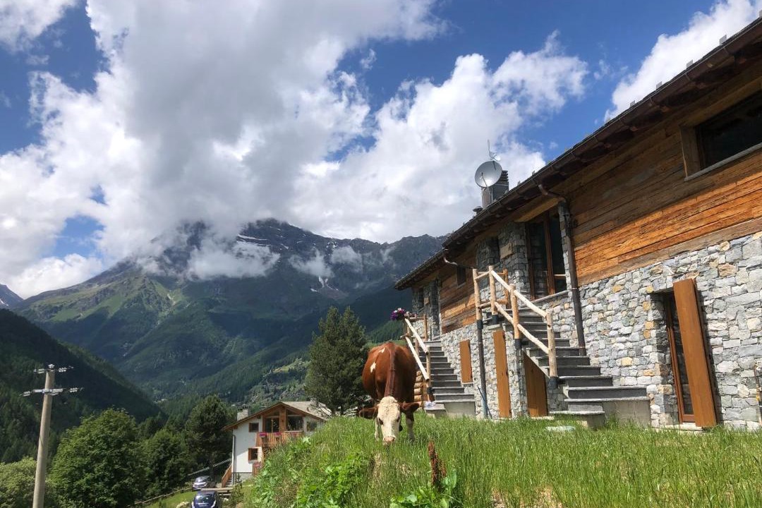 Photo of Buildings in Chiesa in Valmalenco
