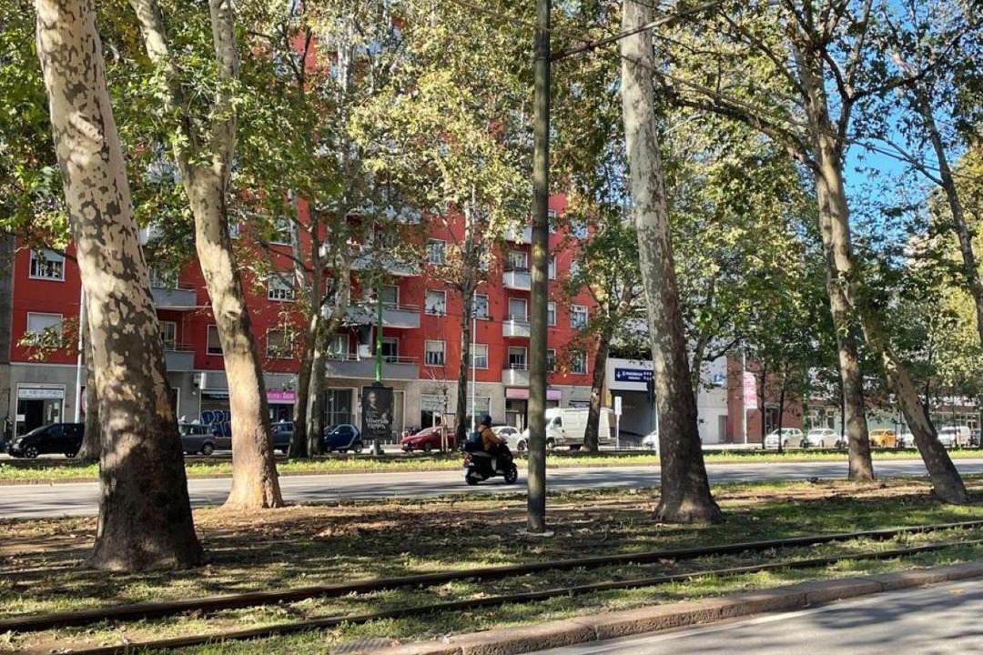 Photo of Others in Zona Zara