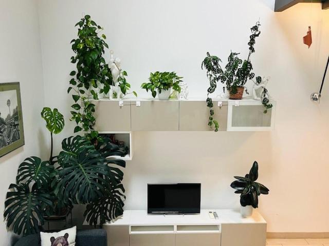Photo of Livingroom in Precotto