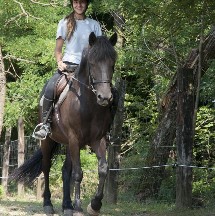 Photo of Others in Senna Comasco