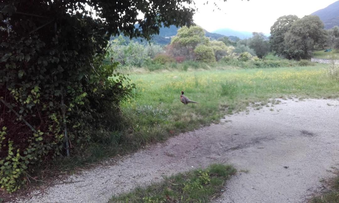 Photo of Others in Salo