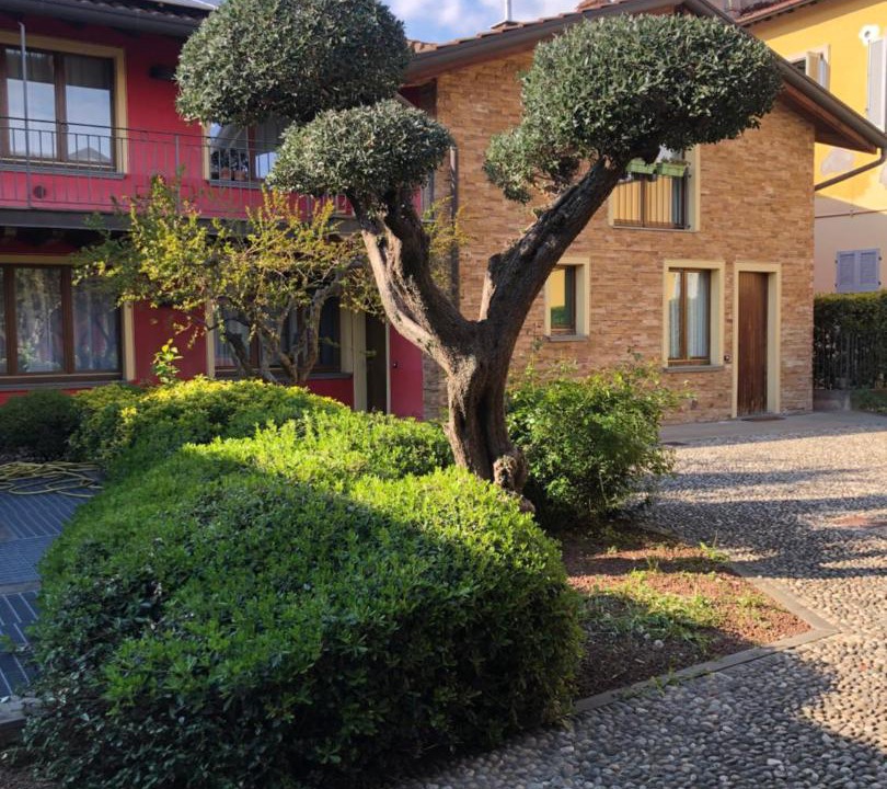 Photo of Others in Bergamo