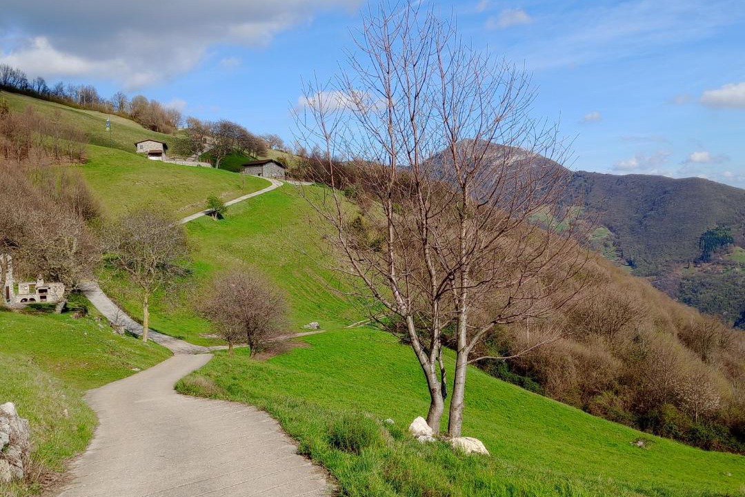 Photo of Outdoor in Adrara San Martino