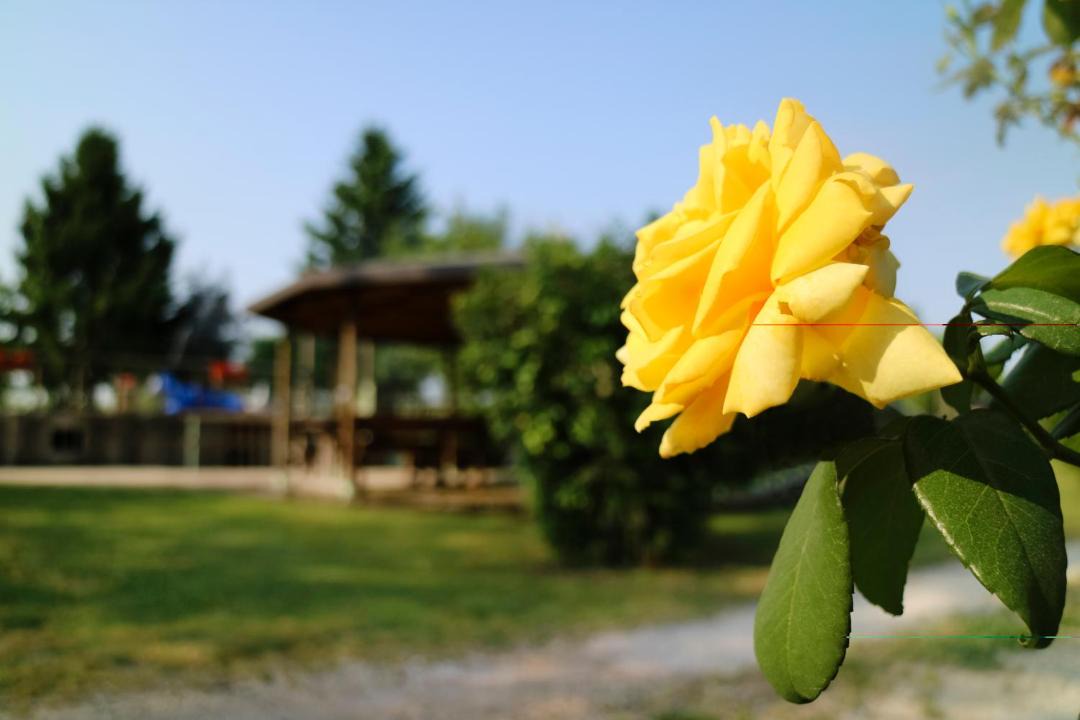 Photo of Others in Ponti sul Mincio