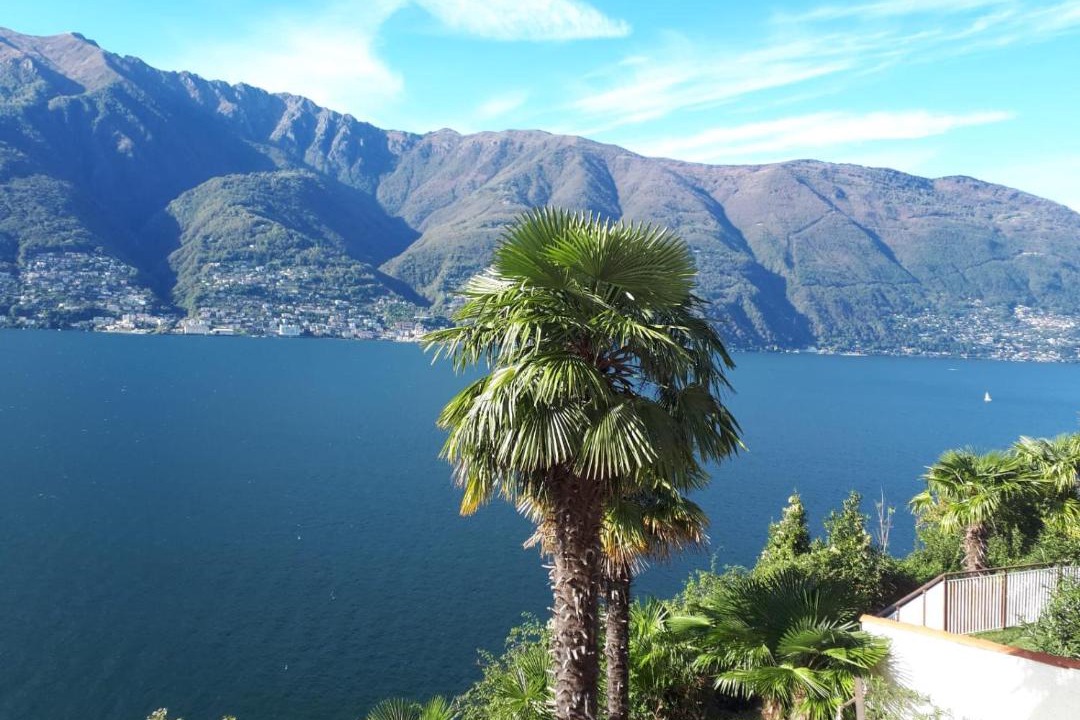 Photo of Others in Pino Lago Maggiore