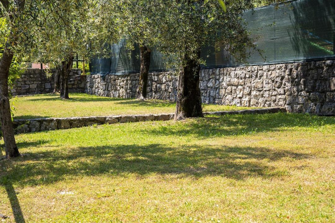 Photo of Buildings in Limone sul Garda