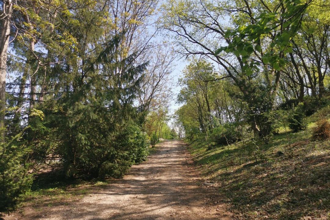 Photo of Outdoor in Cavriana