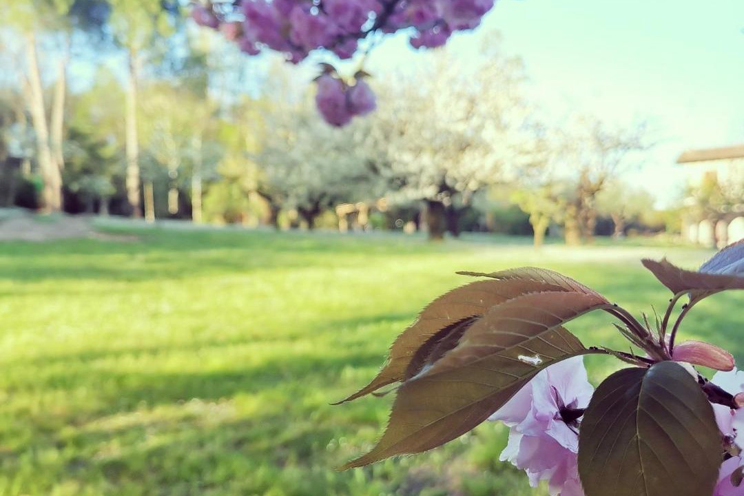 Photo of Outdoor in Cavriana