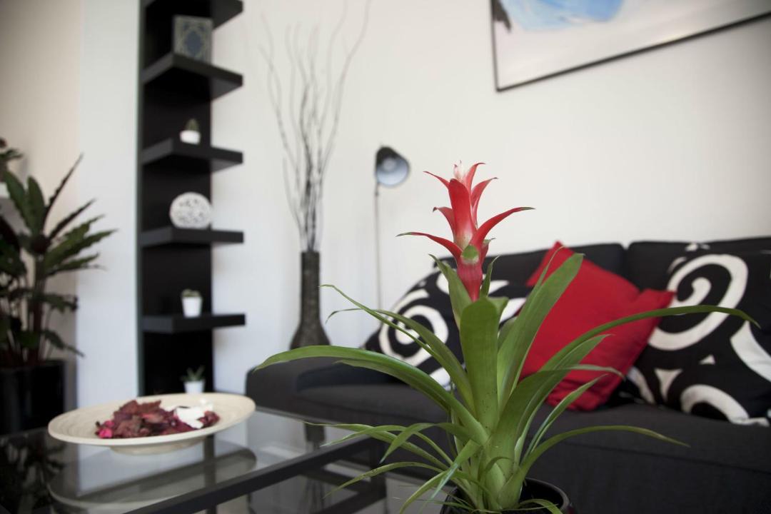 Photo of Livingroom in Bernate Ticino