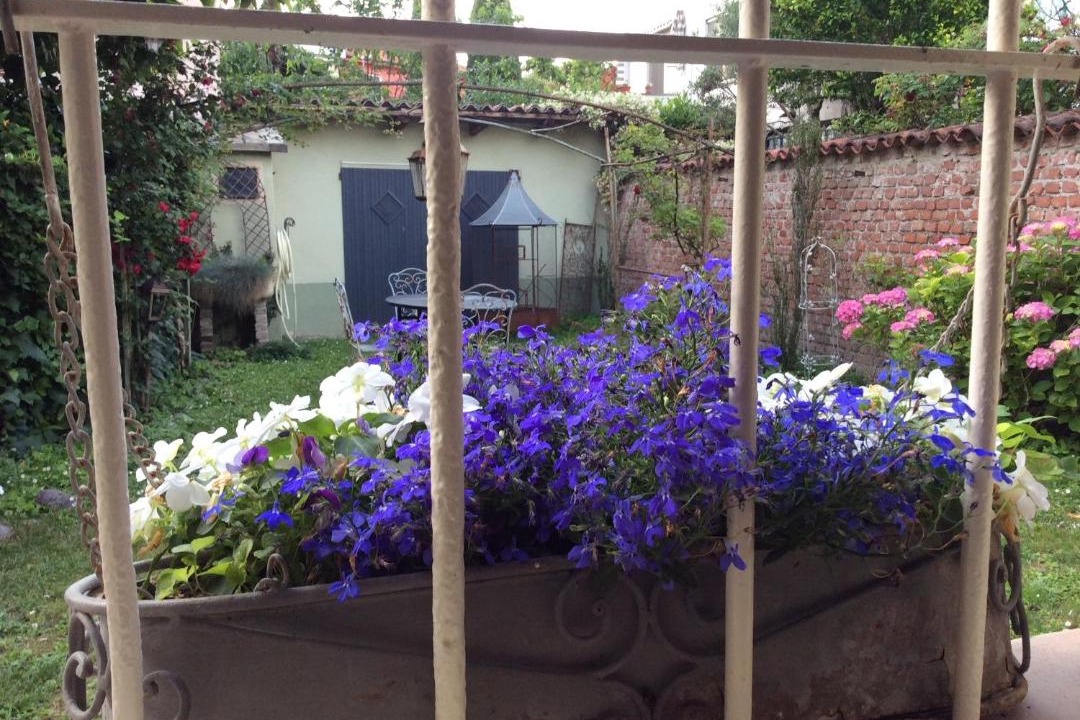 Photo of Patio Balcony in Lodi