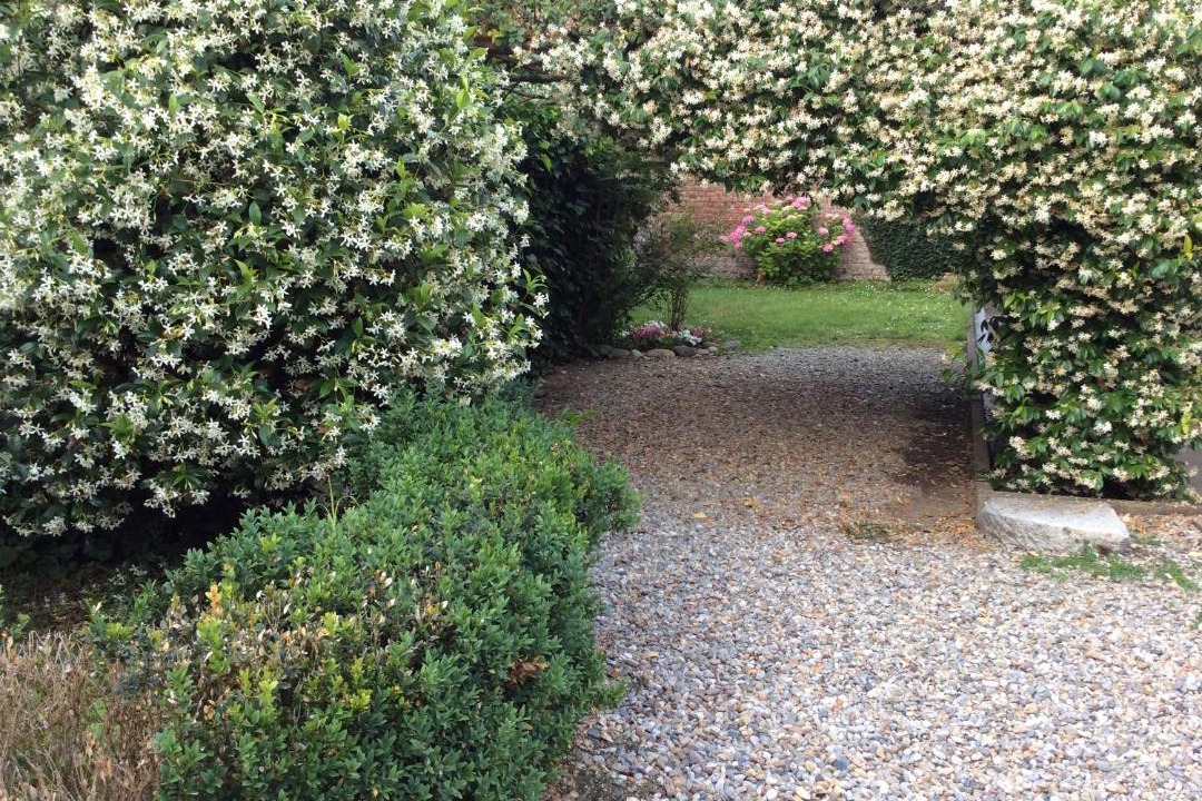 Photo of Outdoor in Lodi