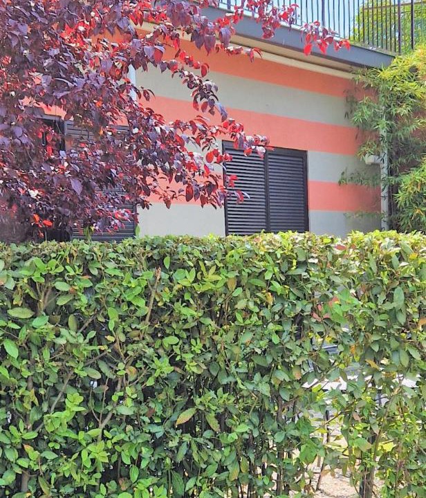 Photo of Others in Maslianico