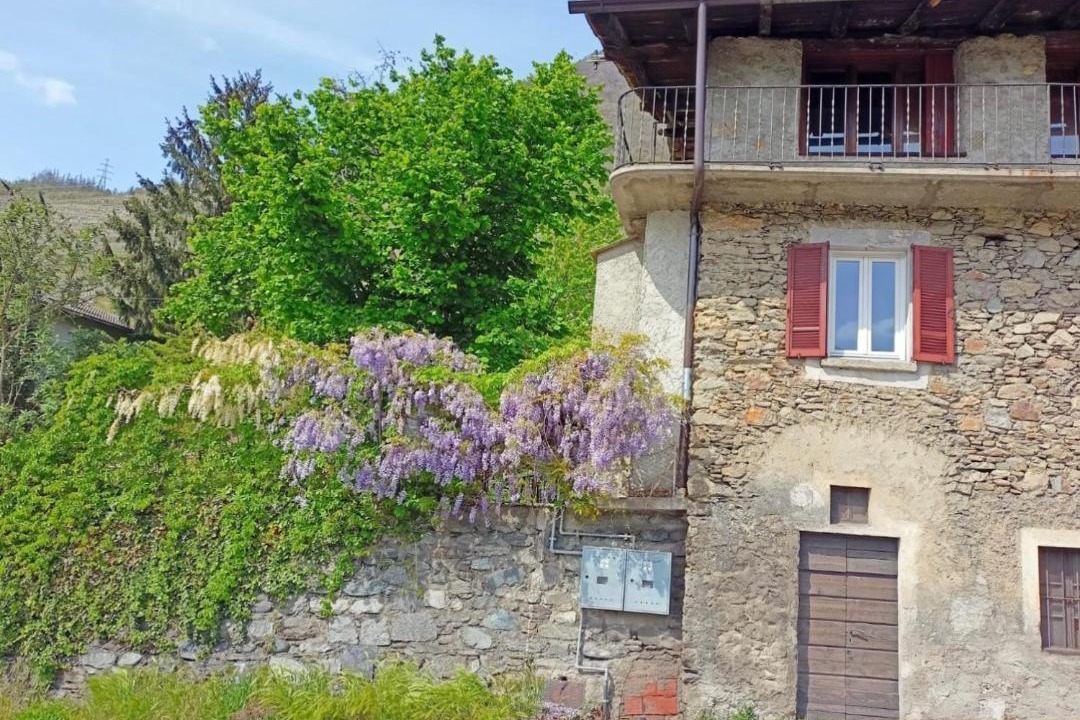 Photo of Others in Valtellina
