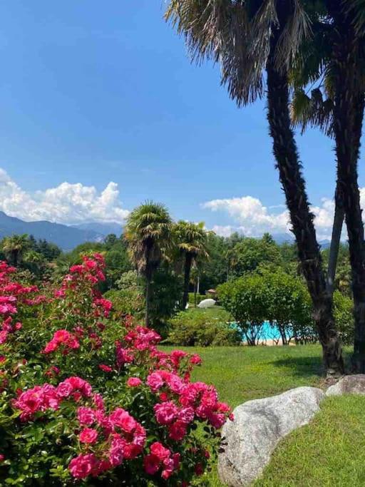 Photo of Outdoor in Cerro