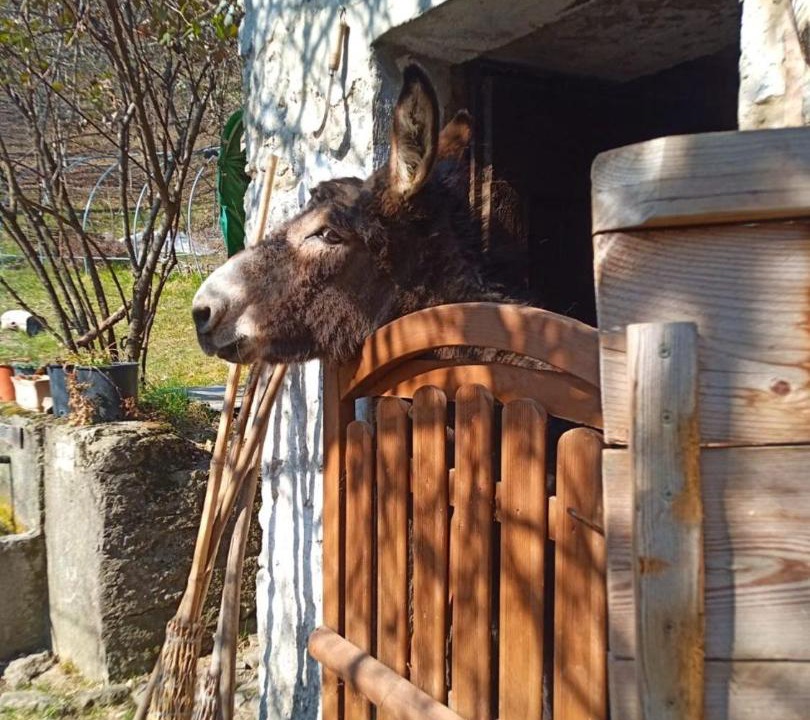 Photo of Others in San Giovanni Bianco