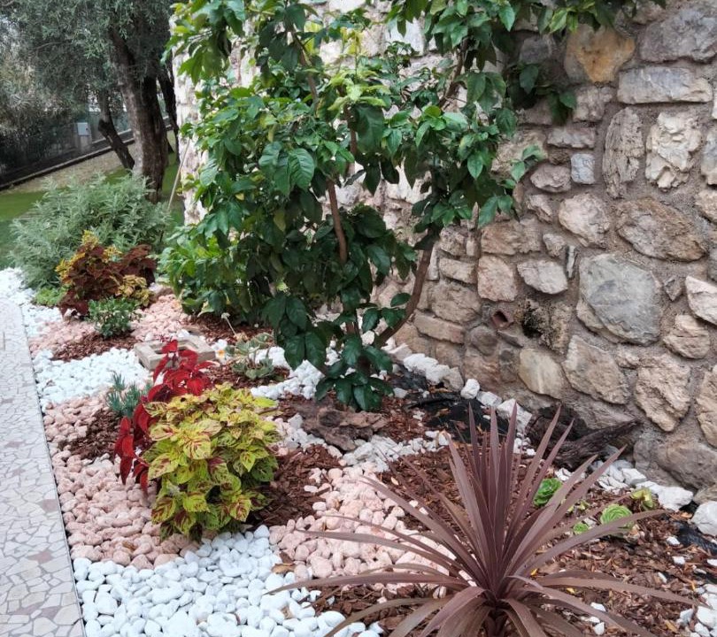Photo of Others in Limone sul Garda
