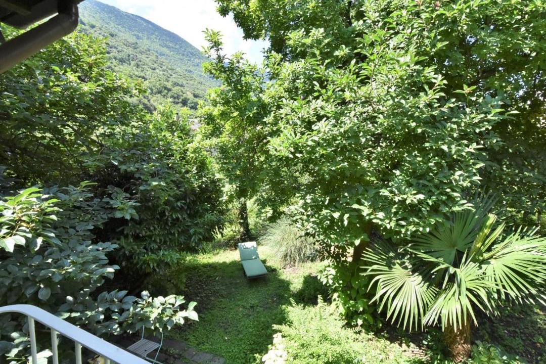 Photo of Others in Cosio Valtellino