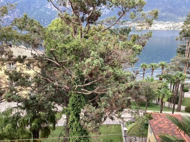 Photo of Others in Limonta