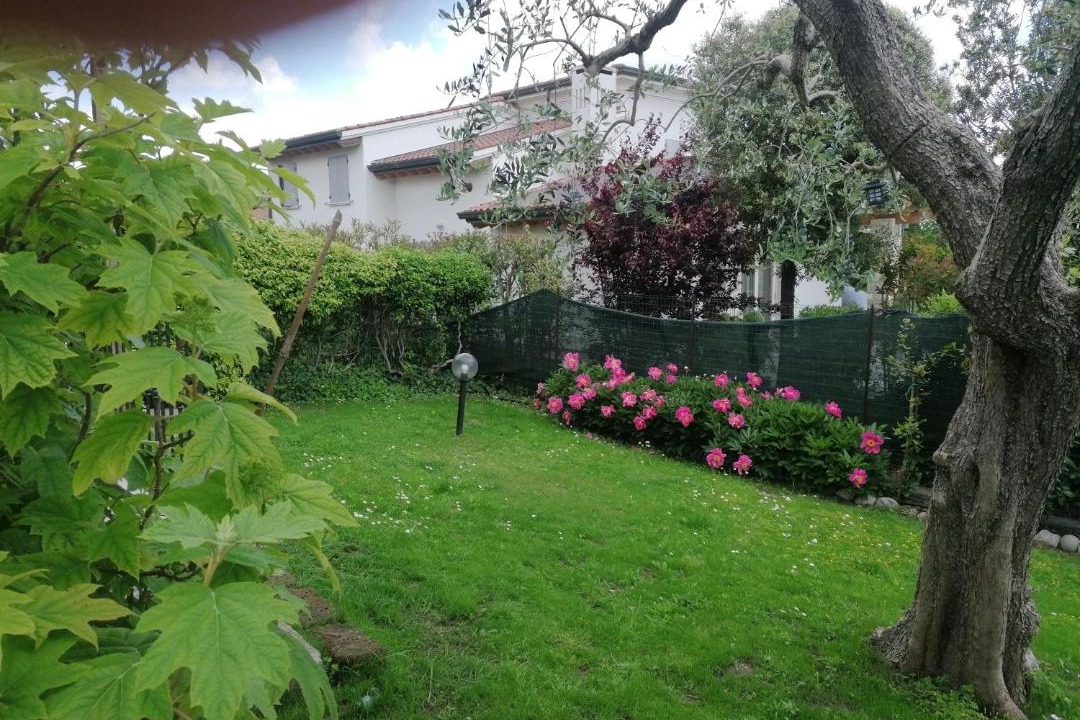 Photo of Others in Castellaro Lagusello