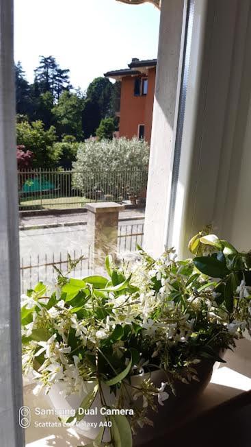 Photo of Patio Balcony in Laveno