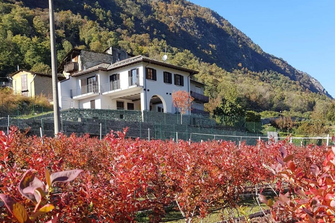 Photo of Others in Sondrio