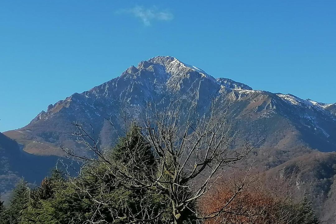 Photo of Outdoor in Moggio