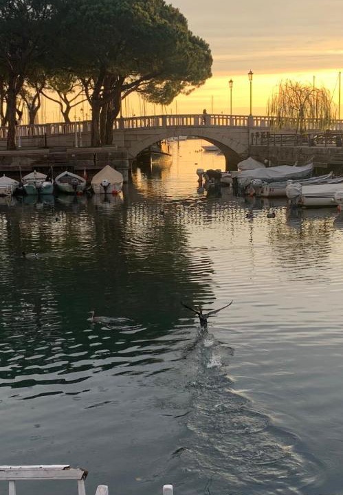 Photo of Others in Rivoltella